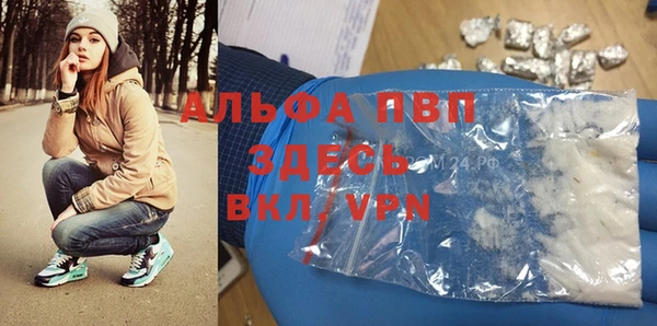 сатива Арсеньев