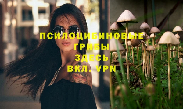 МДПВ Армянск